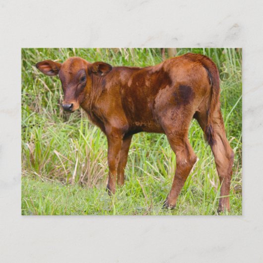 Gewerkschaft Vale Postkarte (Vorderseite)