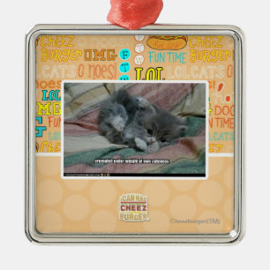 Gewicht eigener Niedlichkeit Silbernes Ornament