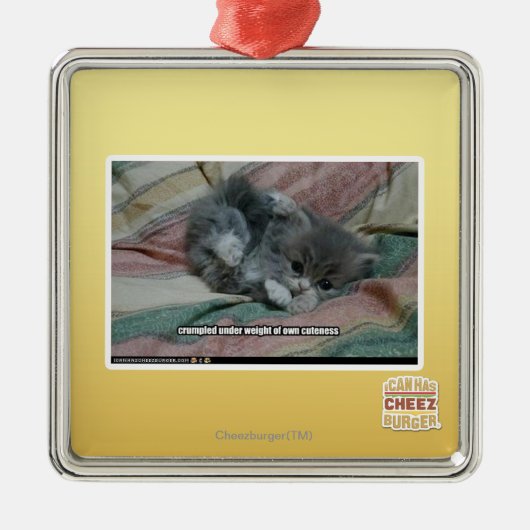 Gewicht eigener Niedlichkeit Silbernes Ornament (Vorne)