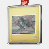 Gewicht eigener Niedlichkeit Silbernes Ornament (Links)