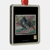 Gewicht eigener Niedlichkeit Silbernes Ornament (Rechts)