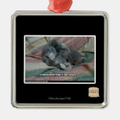 Gewicht eigener Niedlichkeit Silbernes Ornament (Vorne)