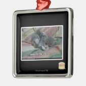 Gewicht eigener Niedlichkeit Silbernes Ornament (Links)