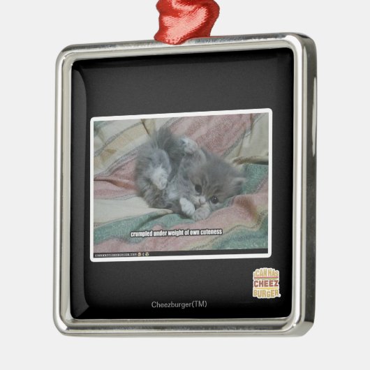 Gewicht eigener Niedlichkeit Silbernes Ornament (Links)