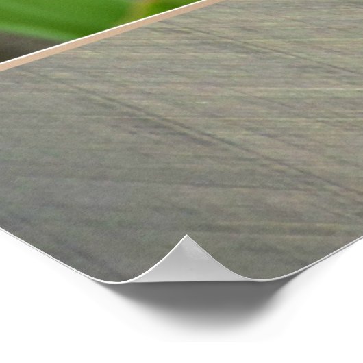 Gewichts-Verlustmotivation Poster Tip #0110 (Ecke)