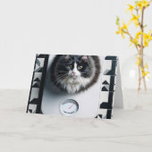 Gewichtsverlust Spaß Katze auf Skala Karte (Gelbe Blume)