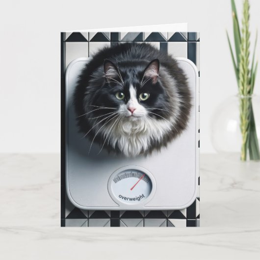 Gewichtsverlust Spaß Katze auf Skala Karte (Vorderseite)
