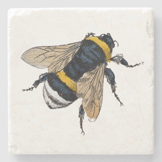 Gewinkelte Hummel Steinuntersetzer (Vorderseite)
