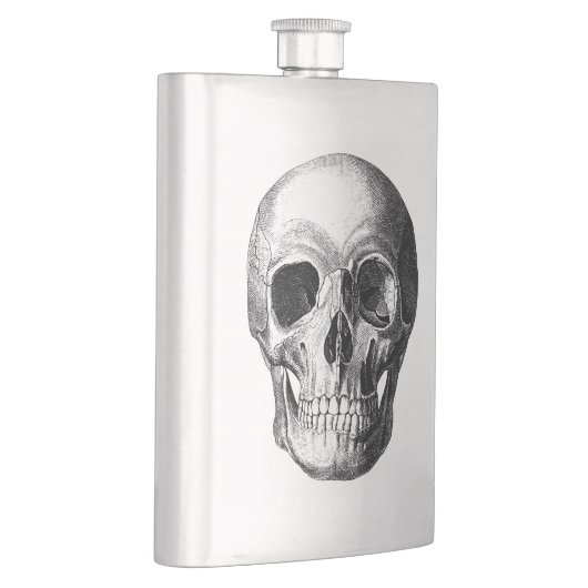 Gewinnen der Schädelhülle Flachmann (Rechts)