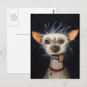 Gewinner des Ugly Dog Contests 2011 Postkarte (Vorne/Hinten)