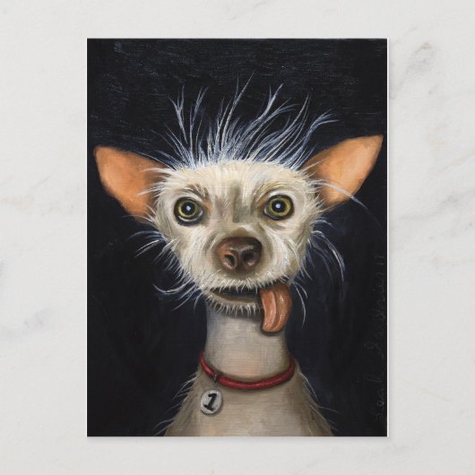 Gewinner des Ugly Dog Contests 2011 Postkarte (Vorderseite)