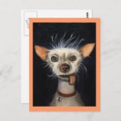 Gewinner des Ugly Dog Contests 2011 Postkarte (Vorne/Hinten)