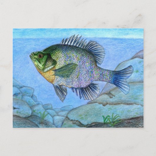 Gewinner-Kunstwerk von L. Luan, Grad 7 Postkarte (Vorderseite)