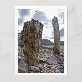 Gewitterte Netzposten von Loch Kishorn Postcard Postkarte