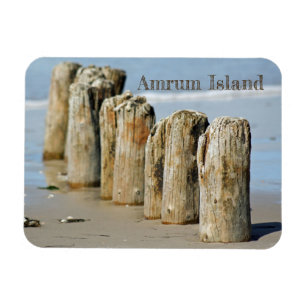 Gewitterte Posts in Sand on Beach, Amrum Island Magnet