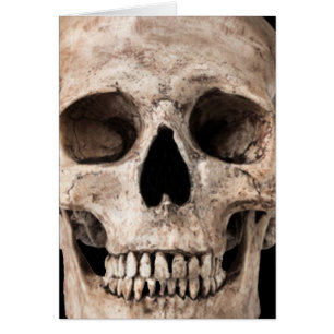 Gewitterter alter Schädel