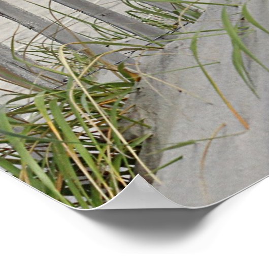 Gewitterter Zaun und Sanddünen am Strand Poster (Ecke)