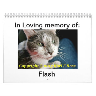 Gewohnheit Druckkatzen-Kalender Kalender