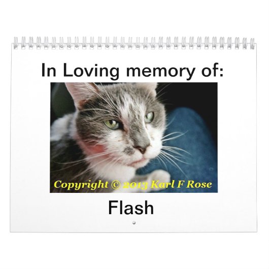 Gewohnheit Druckkatzen-Kalender Kalender (Titelbild)