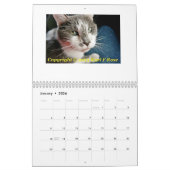 Gewohnheit Druckkatzen-Kalender Kalender (Jan 2026)