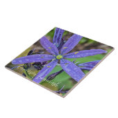 Gewöhnliche Blaue Camas-Blüten Fliese (Seite)
