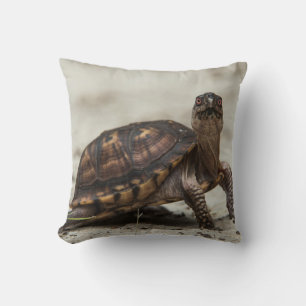 Gewöhnliche Dosenschildkröte Kissen
