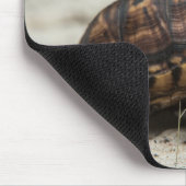 Gewöhnliche Dosenschildkröte Mousepad (Ecke)