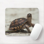 Gewöhnliche Dosenschildkröte Mousepad (Mit Mouse)