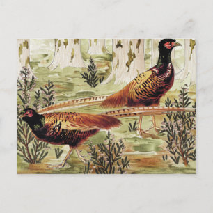 Gewöhnliche Fasane von Maurice Pillard Verneuil Postkarte