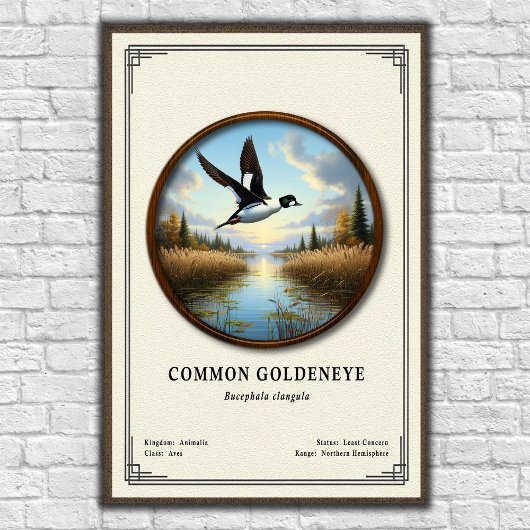 Gewöhnliche Goldeneye-Zoologie-Serie Poster