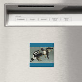 Gewöhnliche Schellente Meerente Magnet (In Situ (Geschirrspüler))