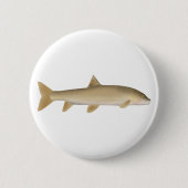 Gewöhnliche Schneebarbe Button (Vorderseite)