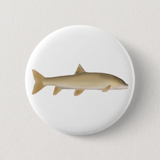 Gewöhnliche Schneebarbe Button (Vorderseite)