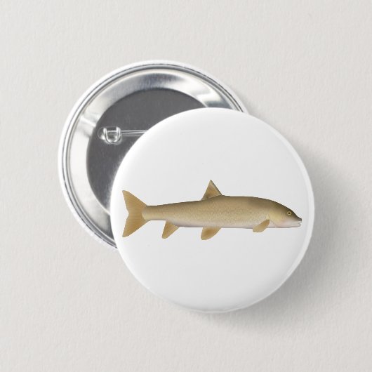 Gewöhnliche Schneebarbe Button (Vorne & Hinten)