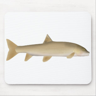 Gewöhnliche Schneebarbe Mousepad