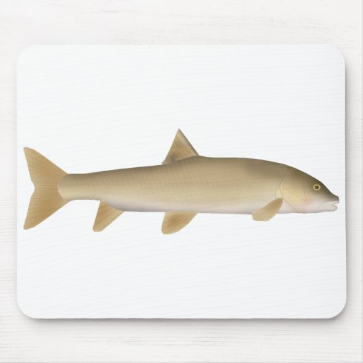 Gewöhnliche Schneebarbe Mousepad (Vorne)