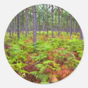 Gewöhnlicher Adlerfarn (Pteridium Aquilinum) wachs Runder Aufkleber