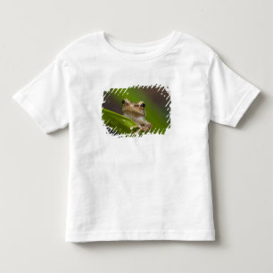 Gewöhnlicher Coqui, Eleutherodactylus coqui Kleinkind T-shirt