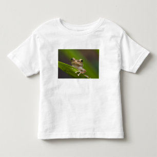 Gewöhnlicher Coqui, Eleutherodactylus coqui Kleinkind T-shirt