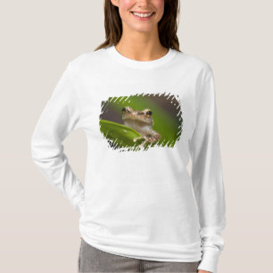 Gewöhnlicher Coqui, Eleutherodactylus coqui T-Shirt