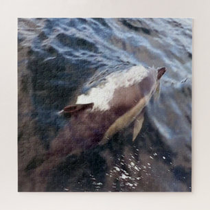 Gewöhnlicher Delfin an der Oberfläche Blauer Ozean Puzzle