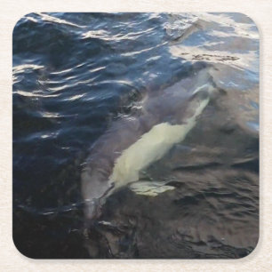 Gewöhnlicher Delfin Schwimmen Ozean Wildtiere Blau Rechteckiger Pappuntersetzer