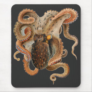 Gewöhnlicher Krake, Vintage Meereslebewesen Tiere Mousepad