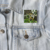 Gewöhnlicher Totenkopfaffe, (Saimiri sciureus), Ri Button (Beispiel)