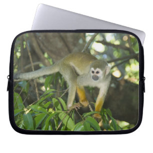 Gewöhnlicher Totenkopfaffe, (Saimiri sciureus), Ri Laptopschutzhülle