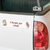 Gewohnte Wasserfarbe, Vögel, Natur, Wildtiere Autoaufkleber (Auf Lkw)