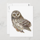 Gewohnte Wasserfarbe, Vögel, Natur, Wildtiere Postkarte (Vorne/Hinten)