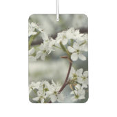 Gewohnter Text vom Frühjahrshintergrund Autolufterfrischer (Vorderseite)