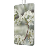 Gewohnter Text vom Frühjahrshintergrund Autolufterfrischer (Links)