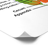 Gewollt: Eine Welt voll von Wölfen (anatomische Wa Poster (Ecke)